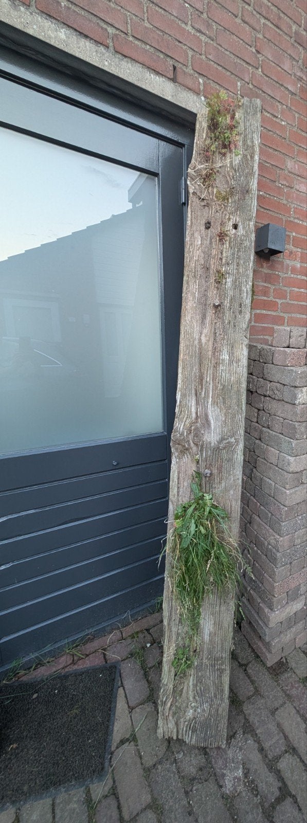 Gratis oude biels, Ophalen, Gebruikt, Hout, 25 tot 50 cm