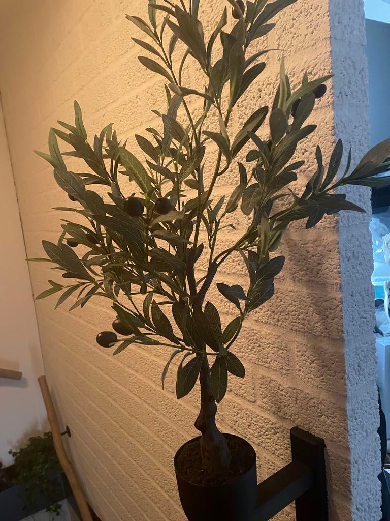 Kunst olijfboompje met zwarte olijfjes - Landelijk sober, Ophalen, Binnen, Groen, Kunstplant