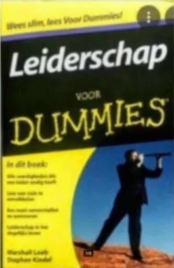 Leiderschap voor Dummies, Ophalen of Verzenden, Zo goed als nieuw, Management