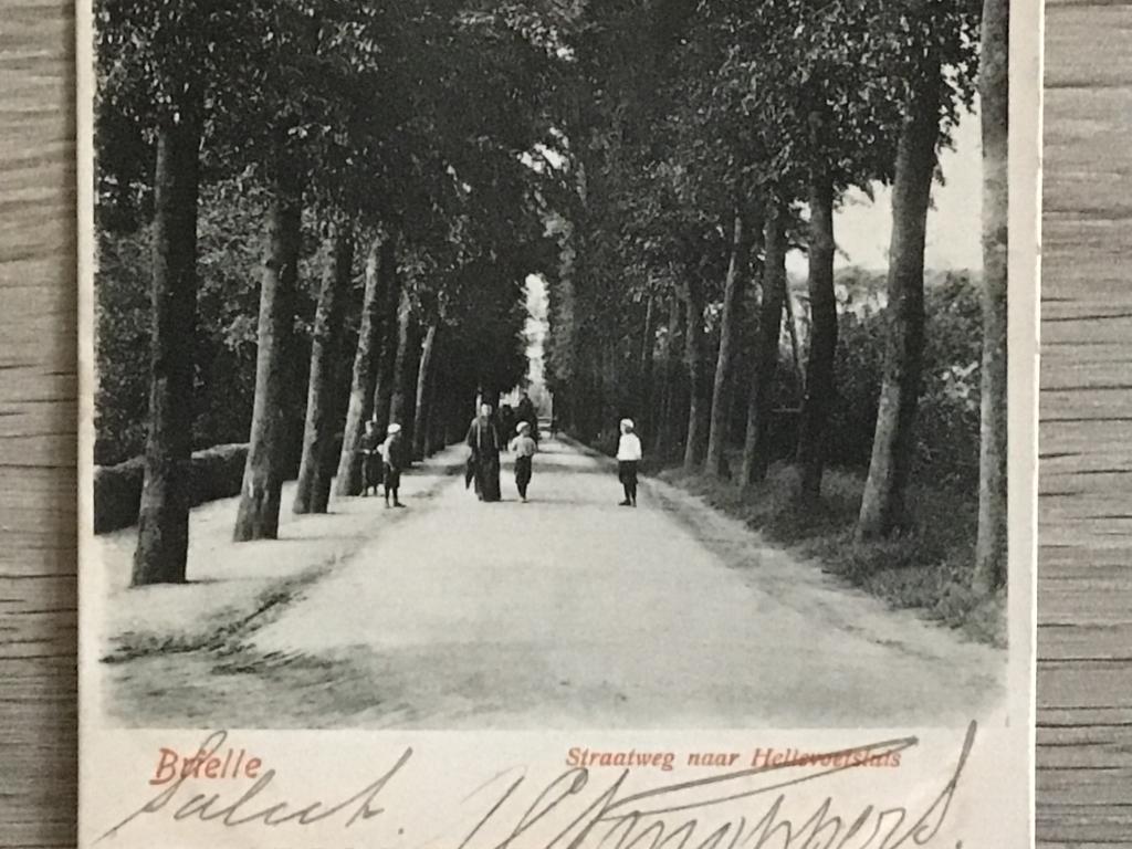 Brielle Straatweg naar Hellevoetsluis ca1900-05, Verzenden, Voor 1920, Gelopen, Zuid-Holland