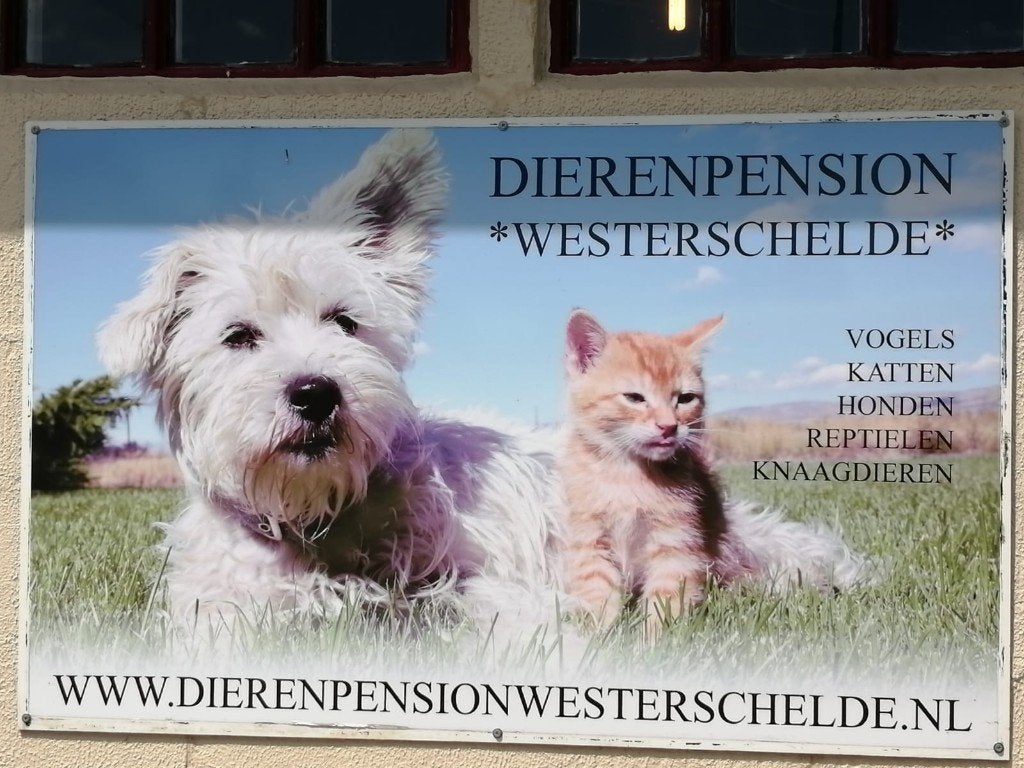 Verzorging van uw huisdier, Pension of Dagopvang