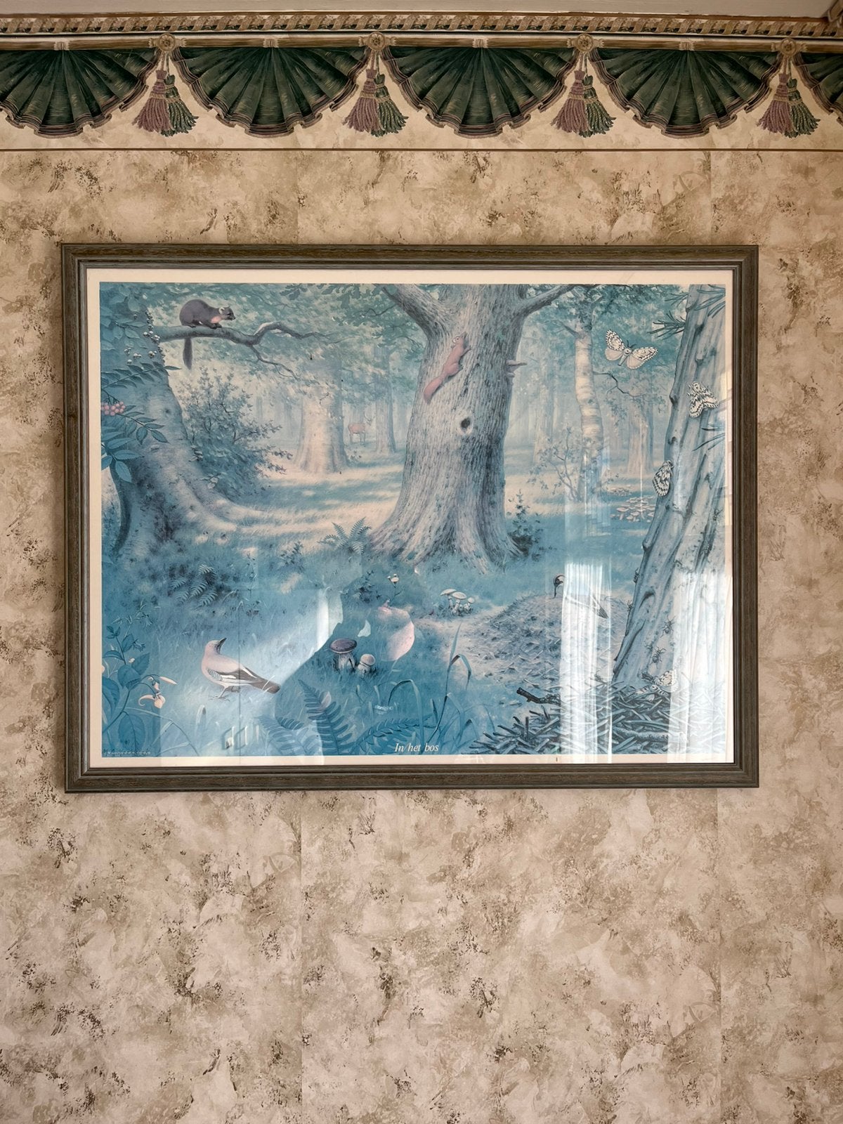 Mooie oude school-/natuurplaat met de titel “In het bos”,, Ophalen