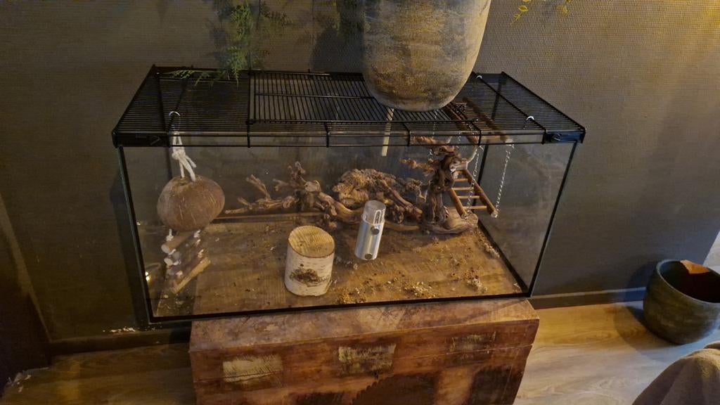 Net terrarium zonder schade, Minder dan 60 cm, Kooi, Ophalen of Verzenden, Zo goed als nieuw