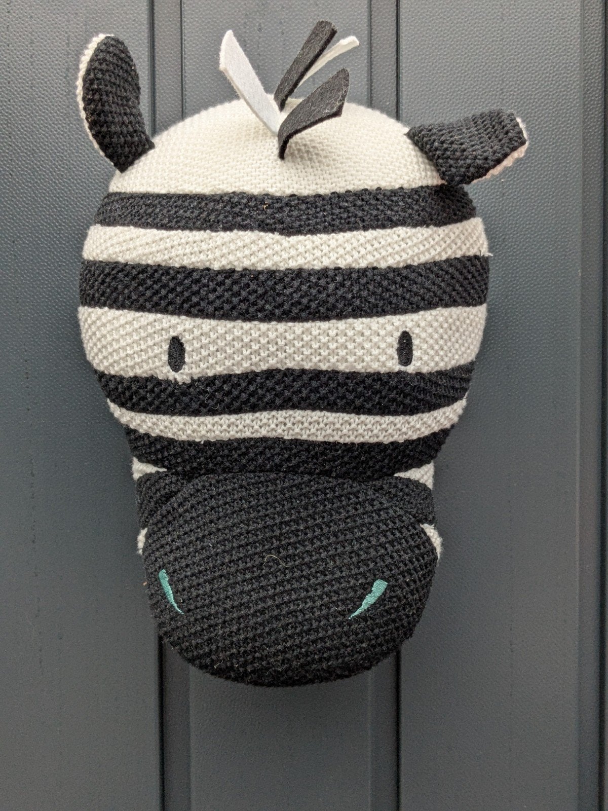 Leuk Zebra wanddecoratie voor Kinderkamer Decoratie, Ophalen of Verzenden, Zo goed als nieuw, Wanddecoratie