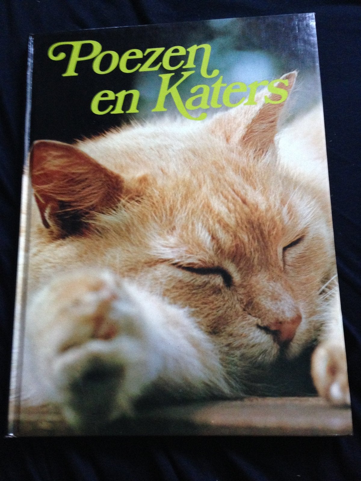 Boek | Poezen en Katers, Ophalen of Verzenden, Zo goed als nieuw, Katten