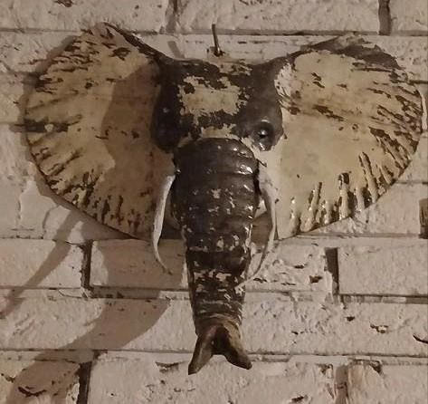 Wanddecoratie olifant, metaal, 3-D, Beige, Metaal, 30 cm, Gebruikt