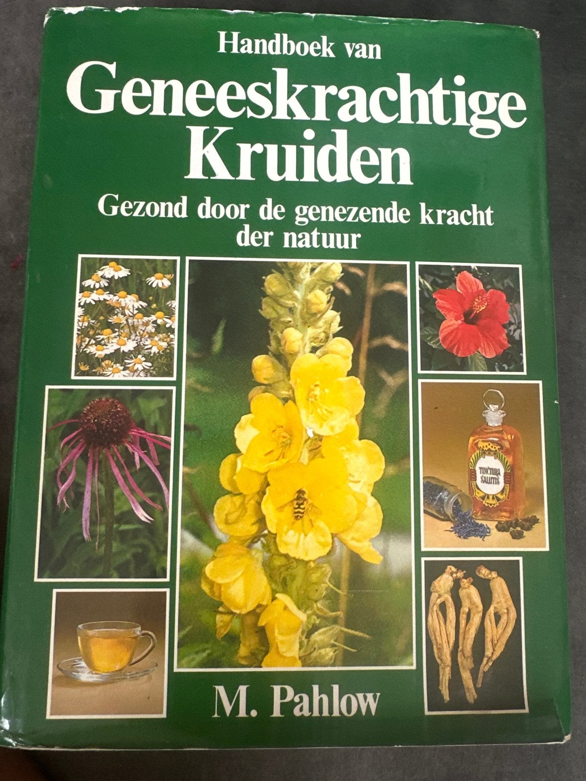 Handboek Geneeskrachtige Kruiden - M. Pahlow, Ophalen of Verzenden, Gelezen, Kruiden en Alternatief