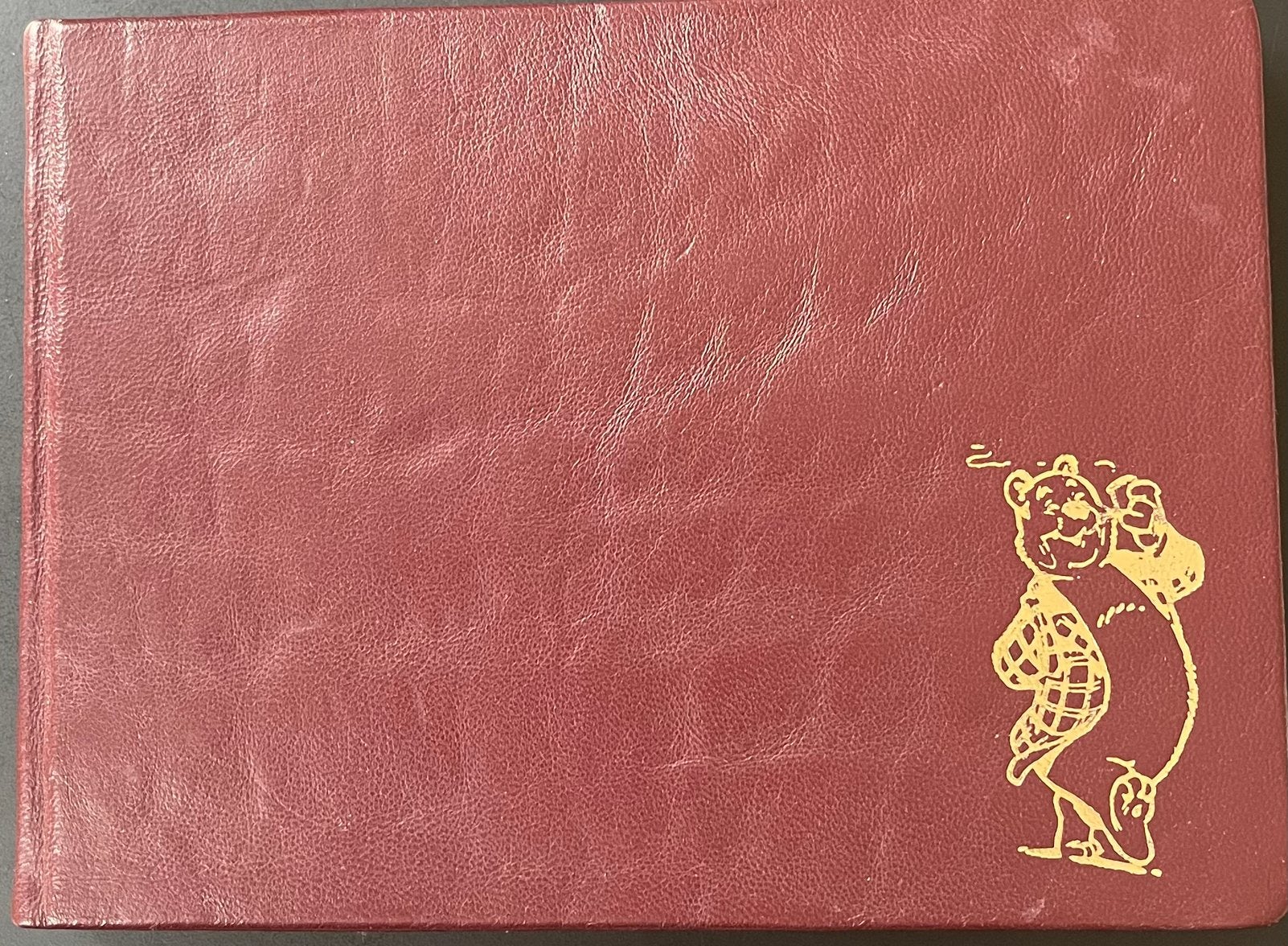 Fryske / friese stripboeken : de Boppebazen, Eén stripboek, Ophalen of Verzenden, Gelezen