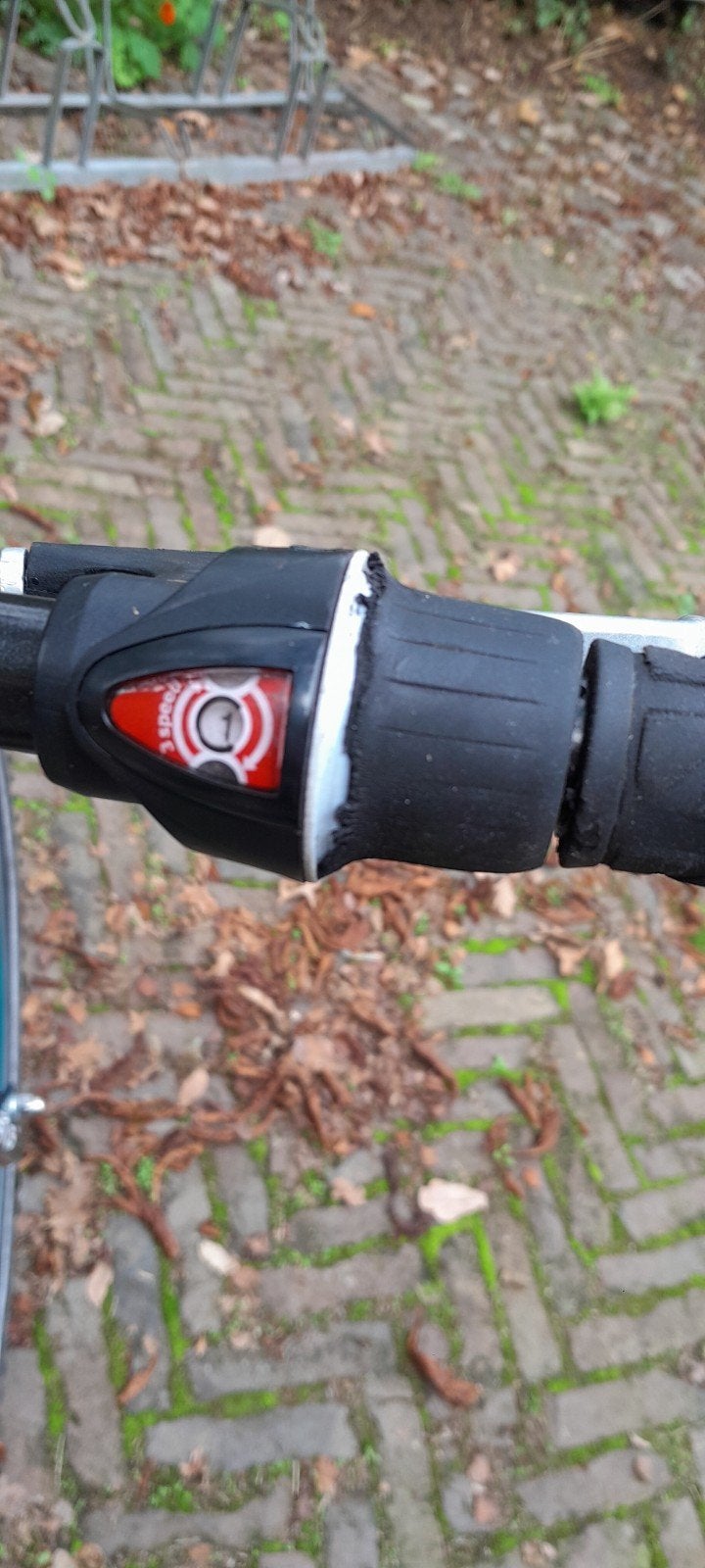 Foto 5 van Batavus Snake