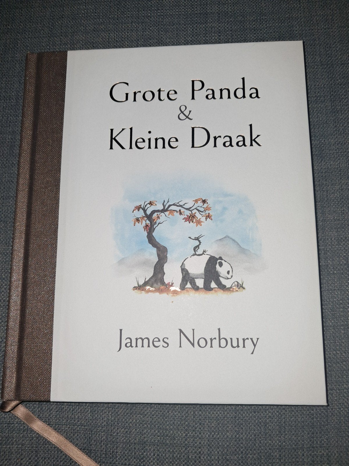 Grote Panda & Kleine Draak - James Norbury, Boeken, Ophalen of Verzenden, Zo goed als nieuw, James Norbury, Europa overig