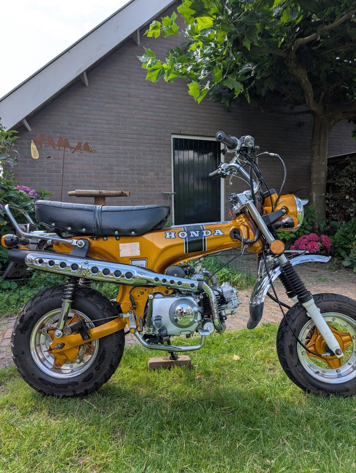 Skyteam Dax 49cc, Ophalen, Gebruikt, Overige merken