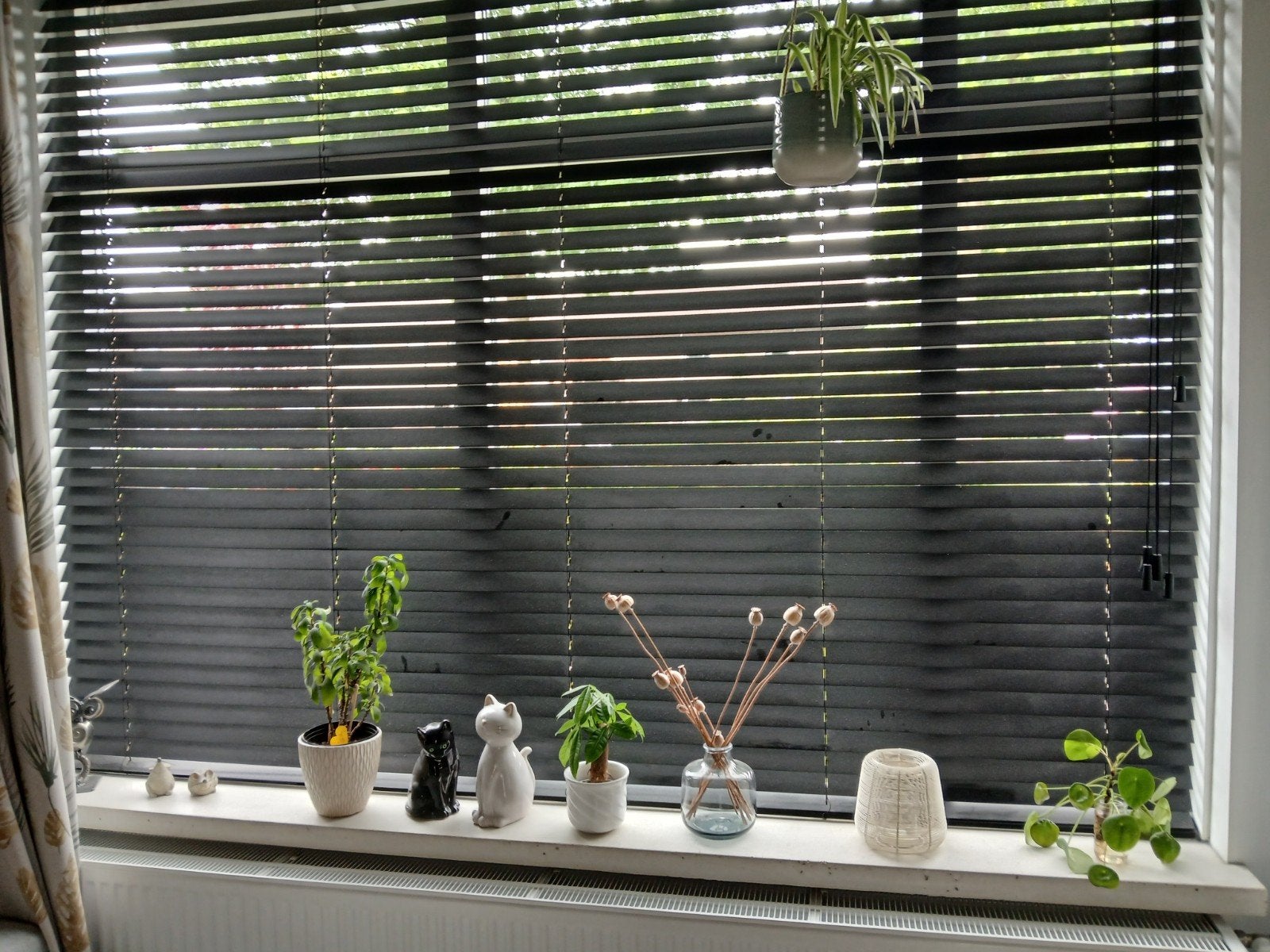 Zwart houten jaloezie shutters 240x184cm, Ophalen, Jaloezie, Gebruikt, Overige merken