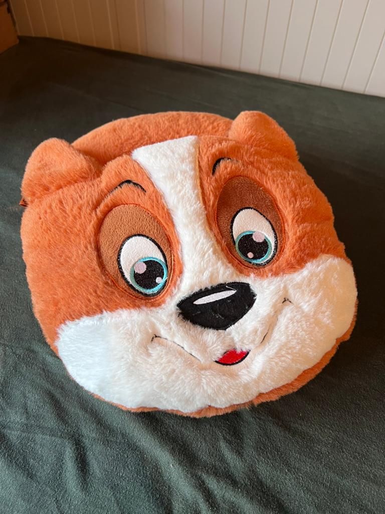 Pantoffel Hond, Ophalen of Verzenden, Zo goed als nieuw, Jongen of Meisje, Overige typen