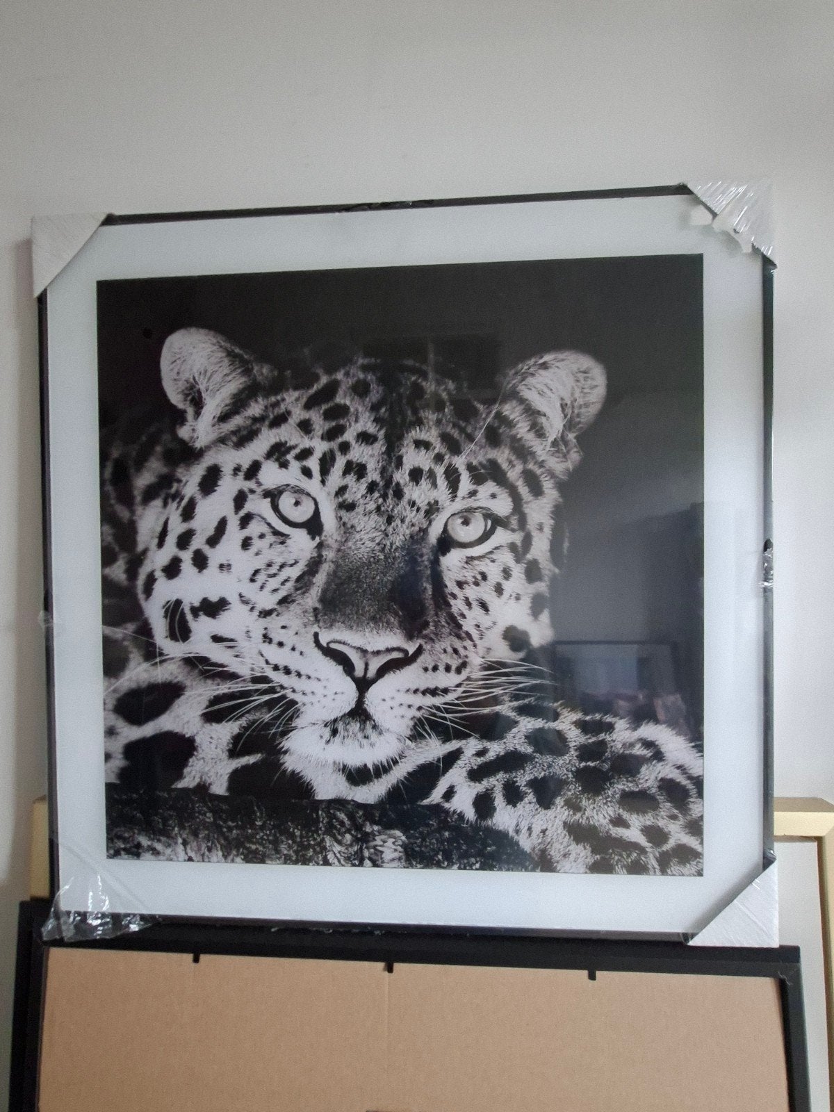 Nieuw ingelijste luipaard print 50x50 cm, Huis en Inrichting, Ophalen, 50 – 75, Nieuw, Print