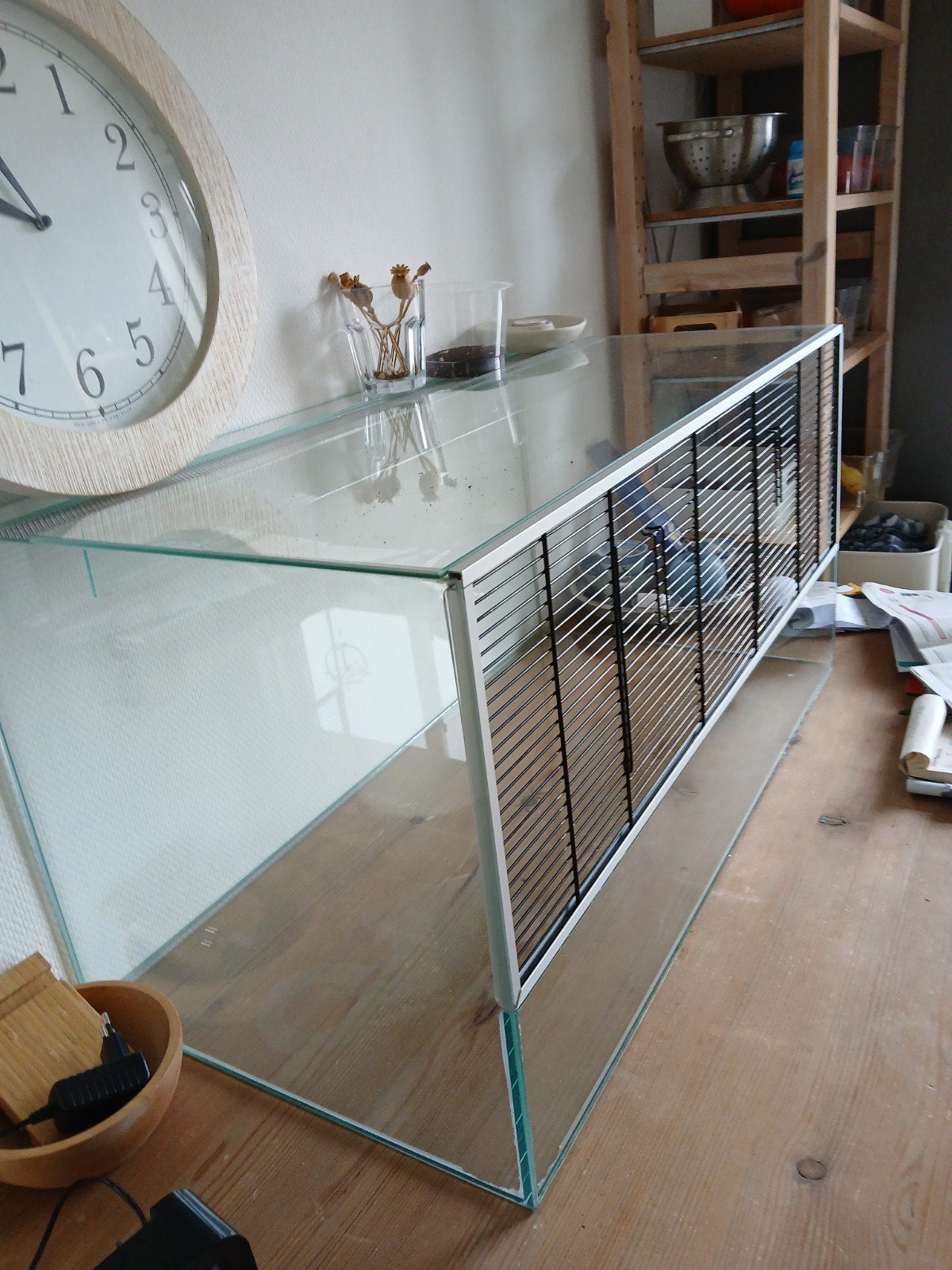 knaagdieren terarium 80x40x40, Gebruikt, Hok, Hamster, 75 tot 110 cm