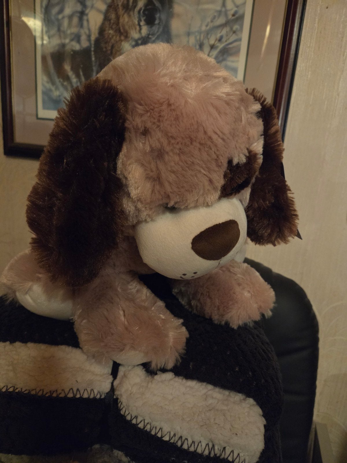 Teddy Pluche hondje, Ophalen of Verzenden, Nieuw, Hond