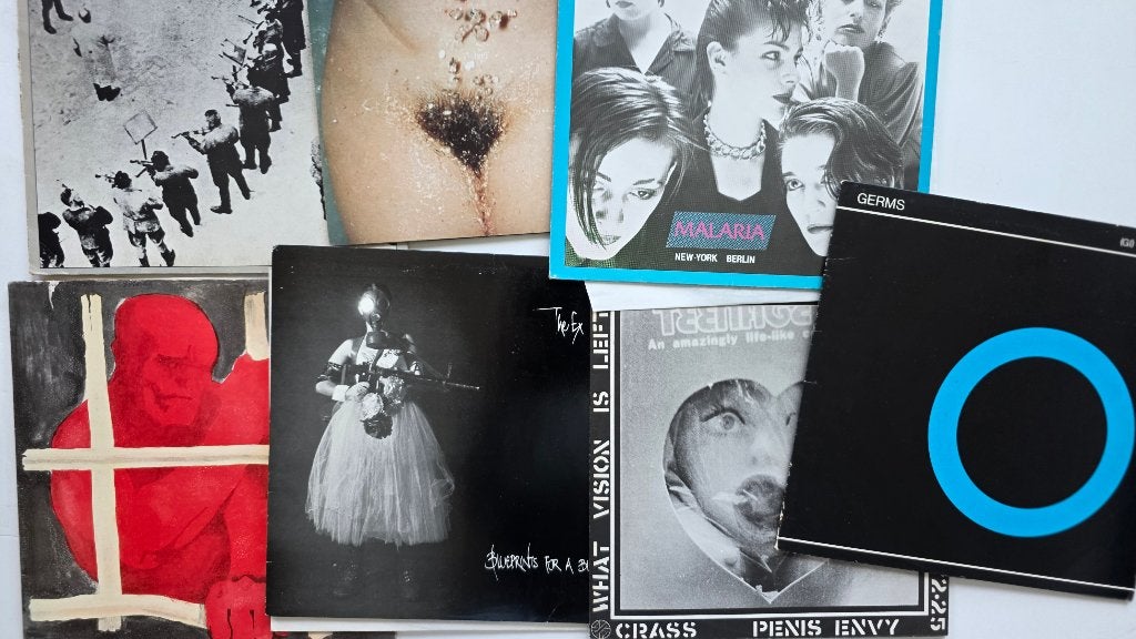 COLLECTOR'S ITEMS VINYL PUNK JAREN 80, Ophalen of Verzenden, Gebruikt, 12 inch