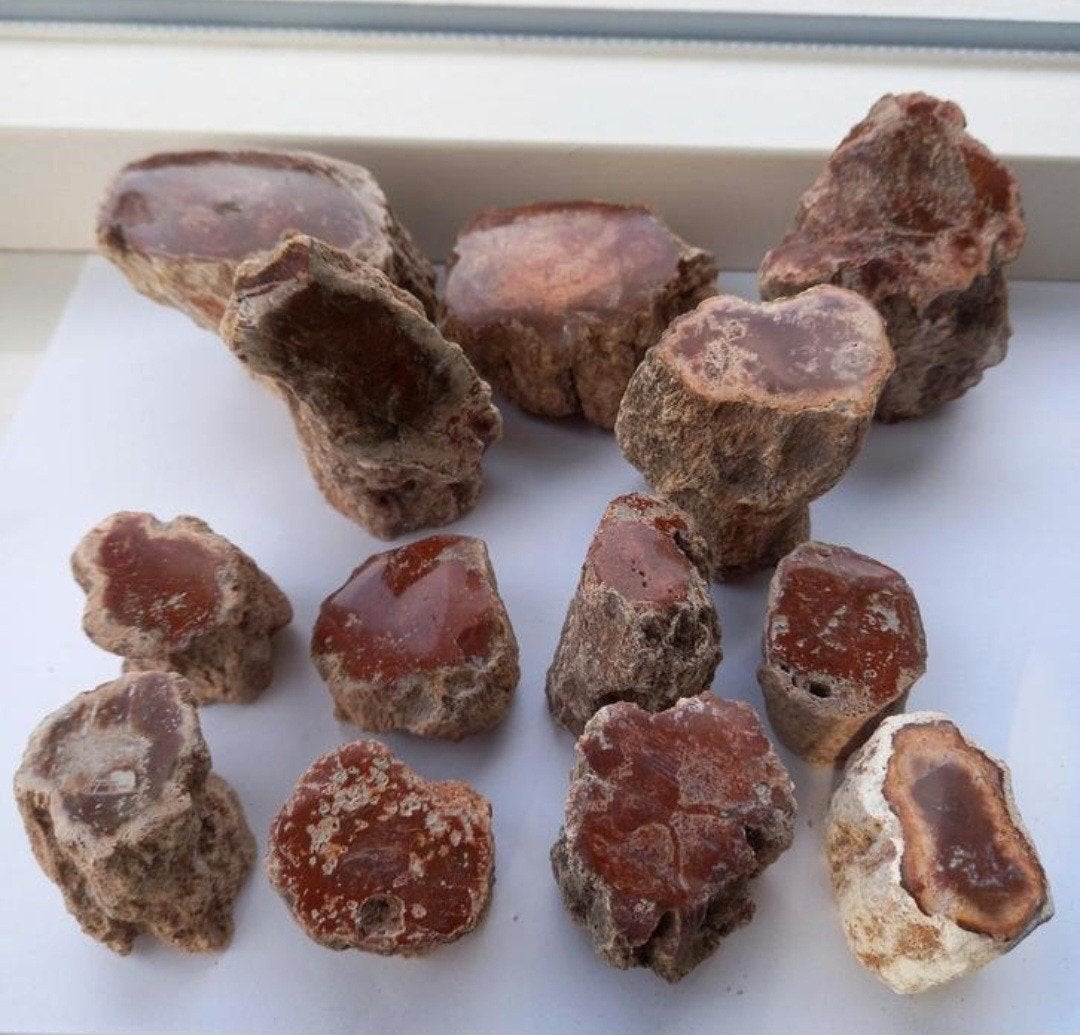 Prachtige versteend hout stammetjes Madagascar mineralen, Ophalen of Verzenden