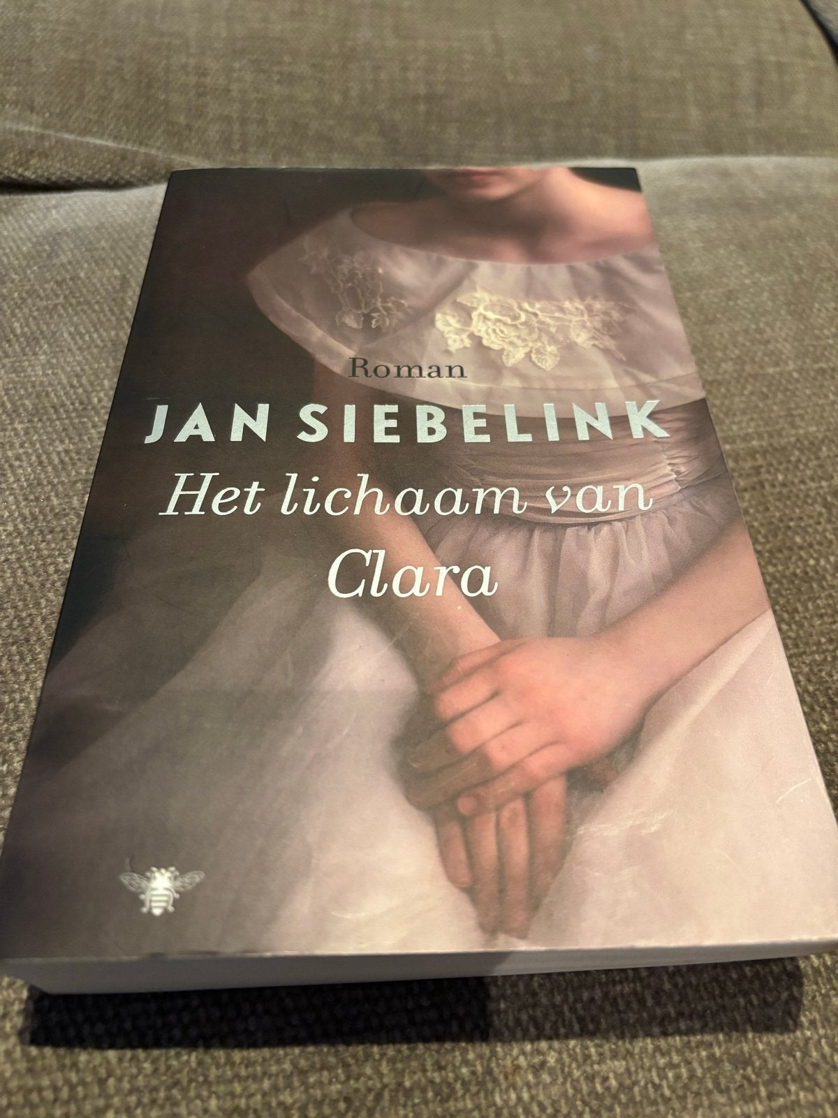 Jan Siebelink - Het lichaam van Clara (Roman), Ophalen of Verzenden, Zo goed als nieuw, Nederland