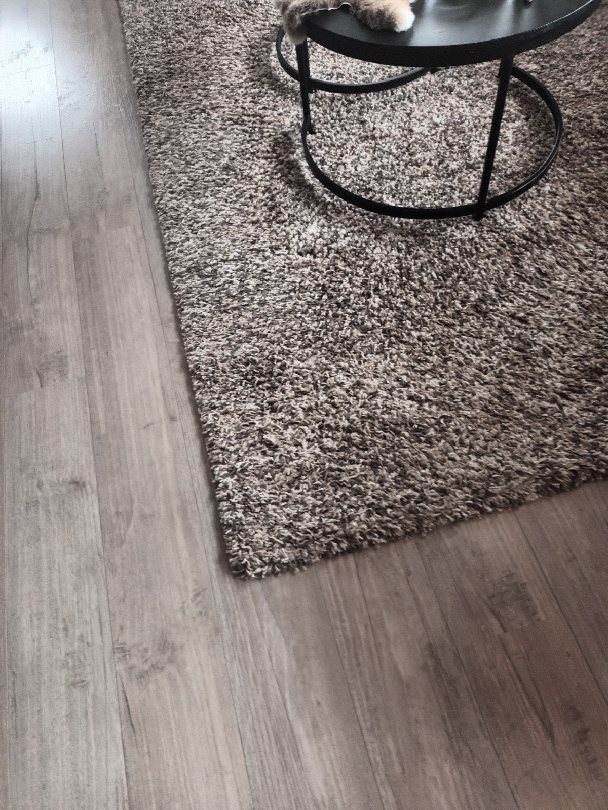 Mooi  gemêleerd vloerkleed - LORIUM collectie, Ophalen, Gebruikt, Beige, 200 cm of meer