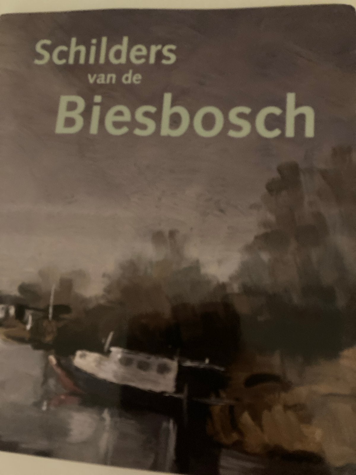 Schilders van de Biesbosch - Kunstboek, Ophalen of Verzenden, Gelezen, Schilder- en Tekenkunst