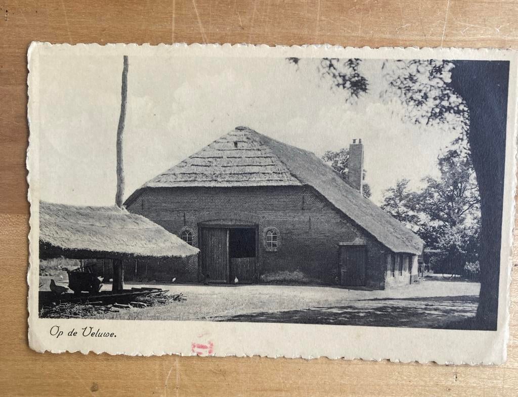 Ansichtkaart Veluwe - Oude Boerderij met rieten dak, Ophalen, 1920 tot 1940, Gelopen, Gelderland