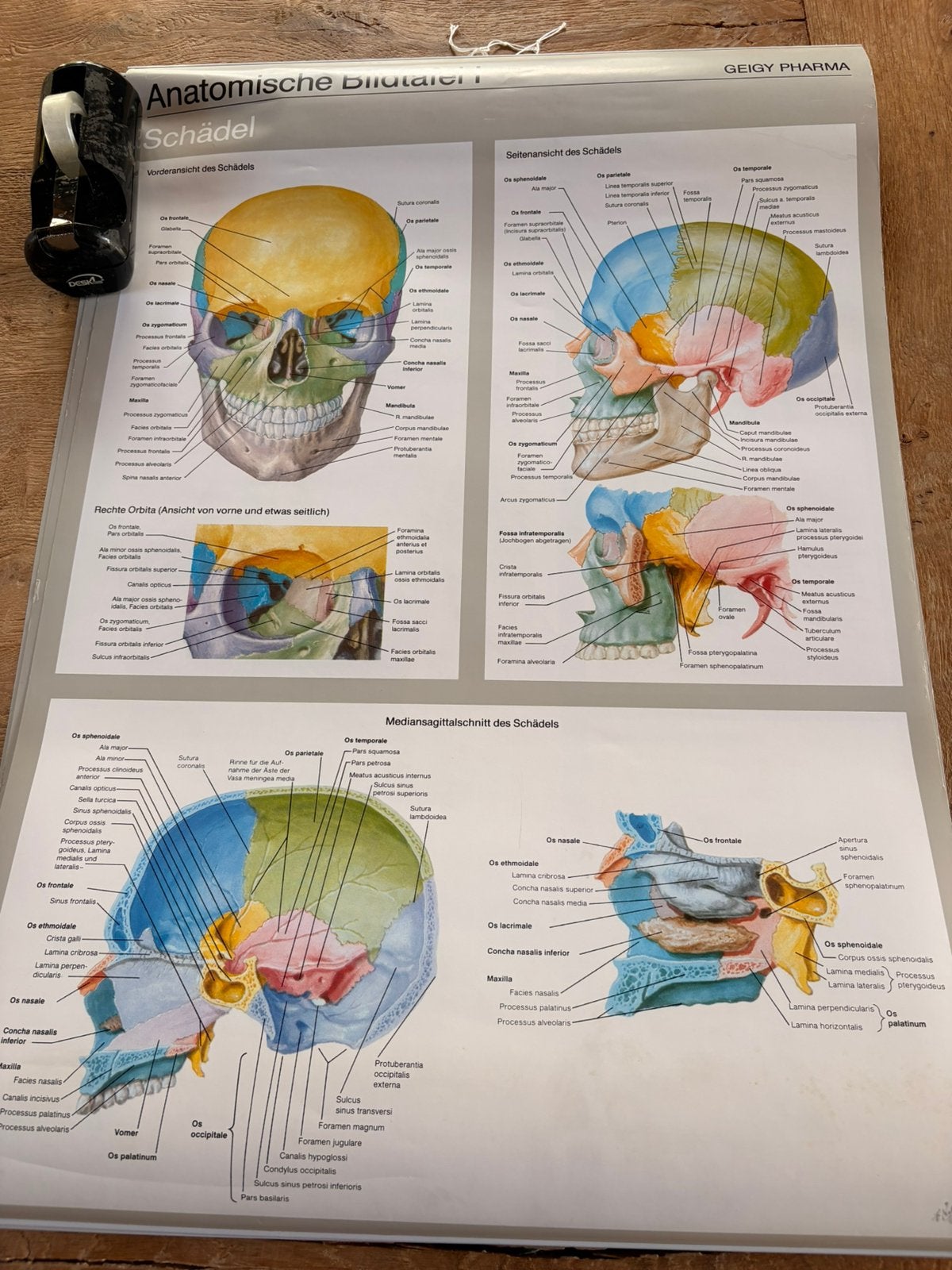 Verschillende medische platen / schoolposters Ciba-Geigy, Ophalen of Verzenden, Natuur en Biologie