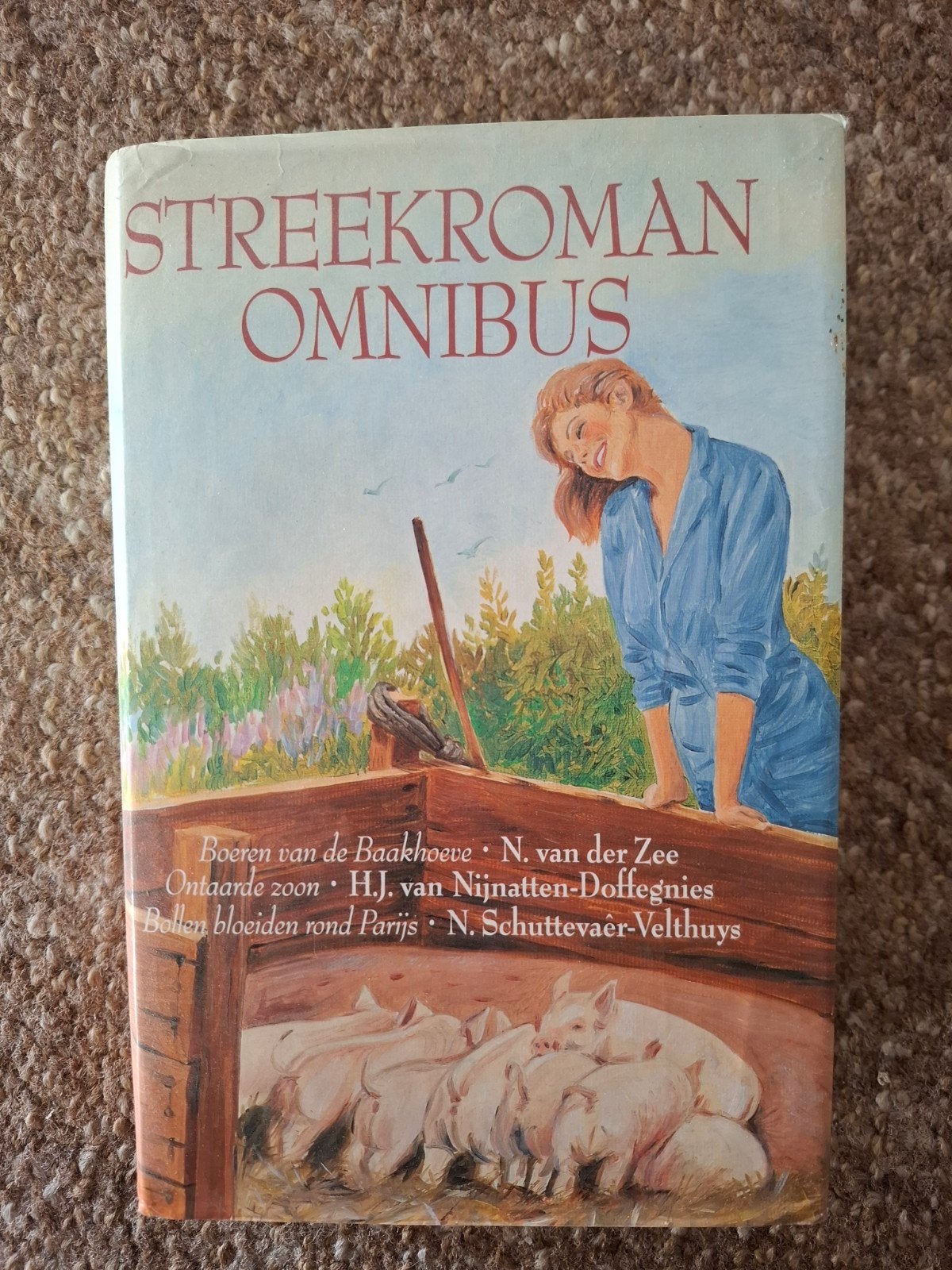 Streekroman Omnibus, Boeken, Ophalen of Verzenden, Gelezen, N. Schuttevaêr-Velthuys
