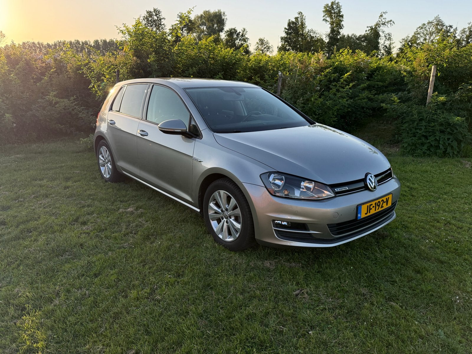VW Golf 1.0 TSI DSG | CarPlay | Camera | Cruise | NL Auto |, Zwart, 620 kg, Origineel Nederlands, 115 pk