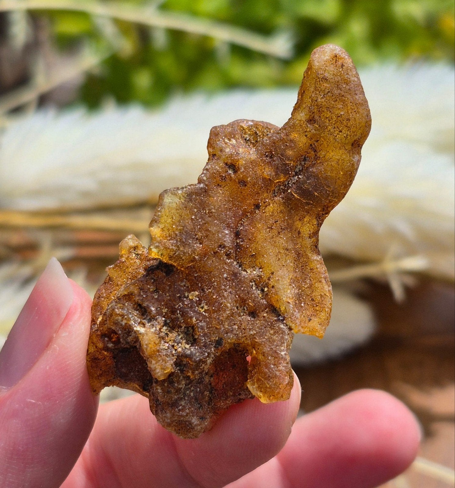 Copal/ jonge Amber, Ophalen of Verzenden