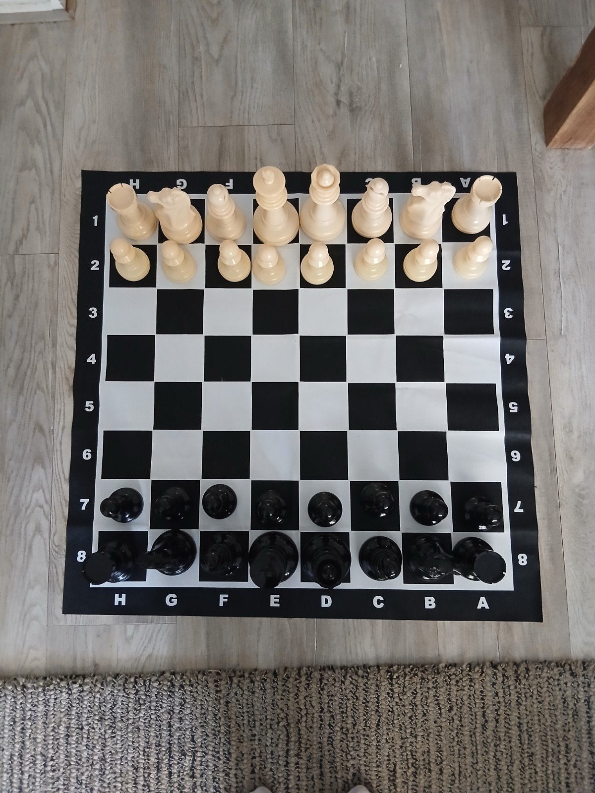 Schaakspel XL, Ophalen of Verzenden, Nieuw, Rond