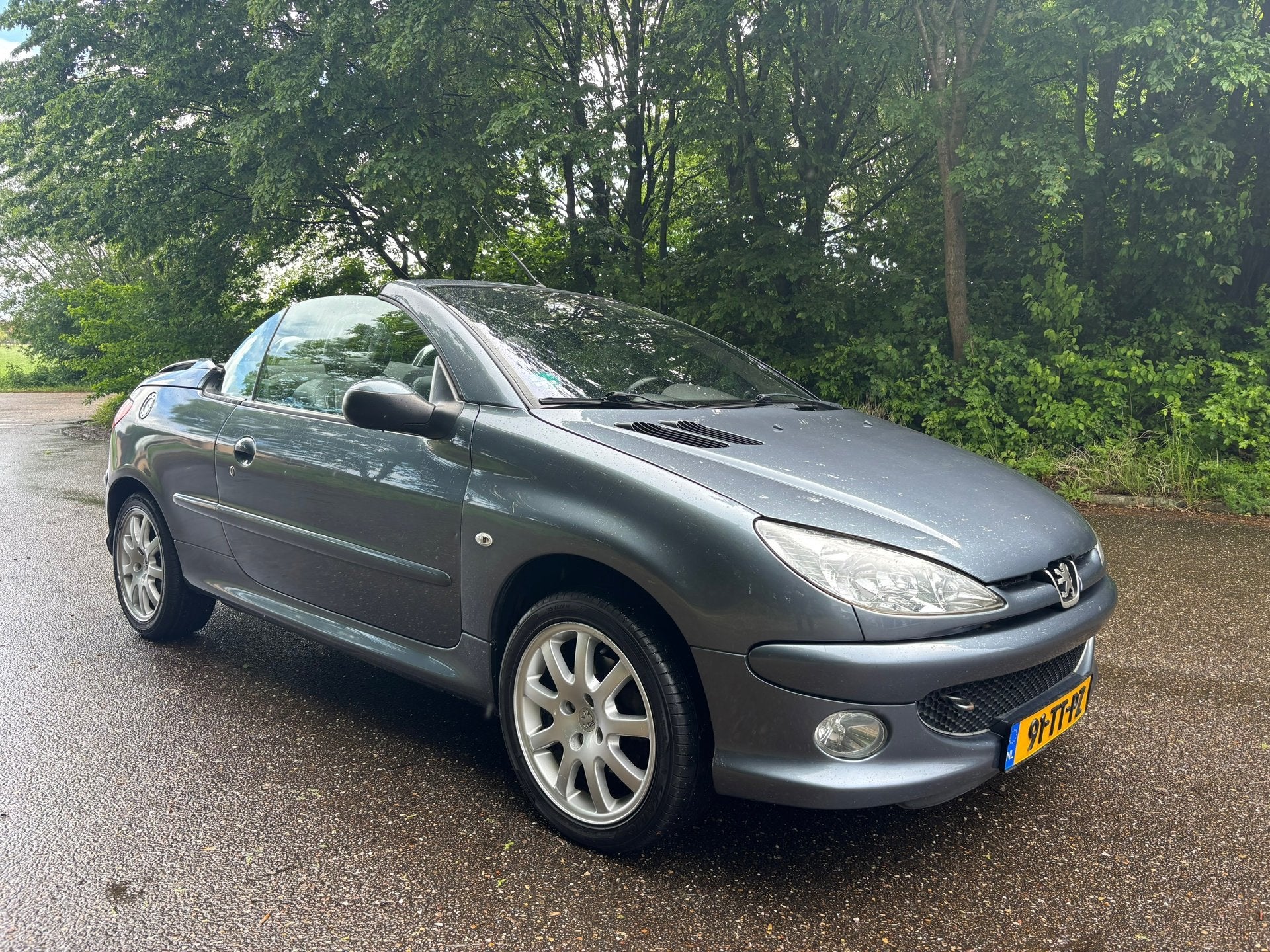 Peugeot 206 CC 2.0-16V Griffe | Leder | Clima, 136 pk, Gebruikt, Zwart, 4 cilinders
