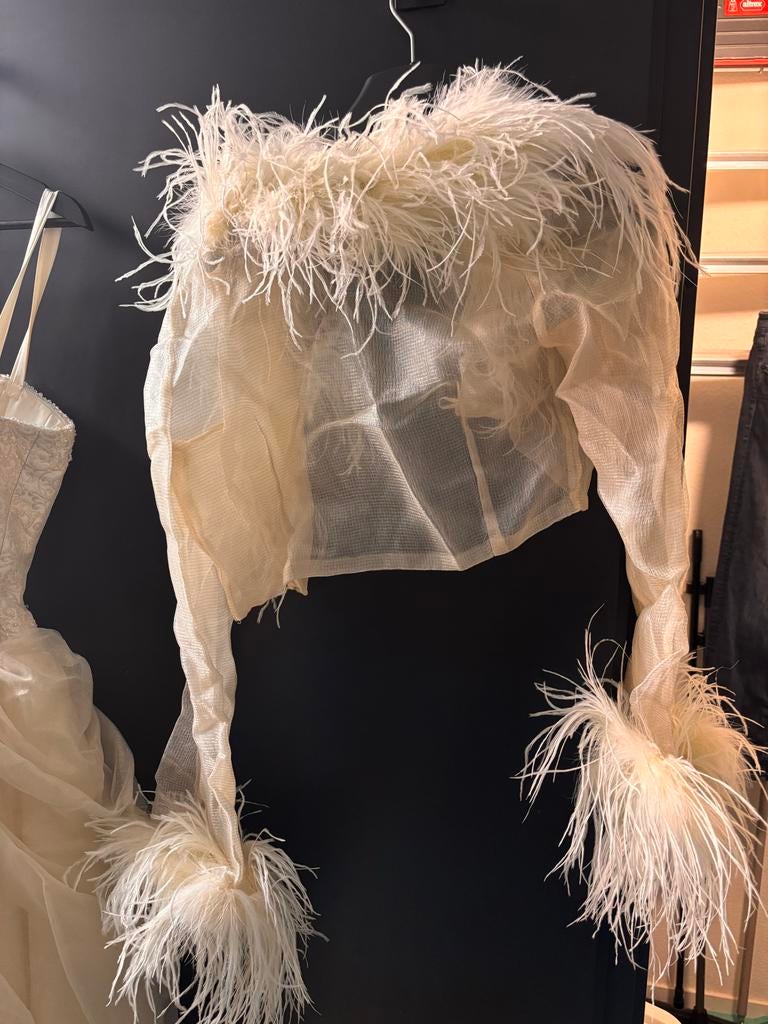 Trouwjurk Mary Borsato - Moet gestoomd worden, Ophalen, Gedragen, Overige kleuren, Trouwjurk