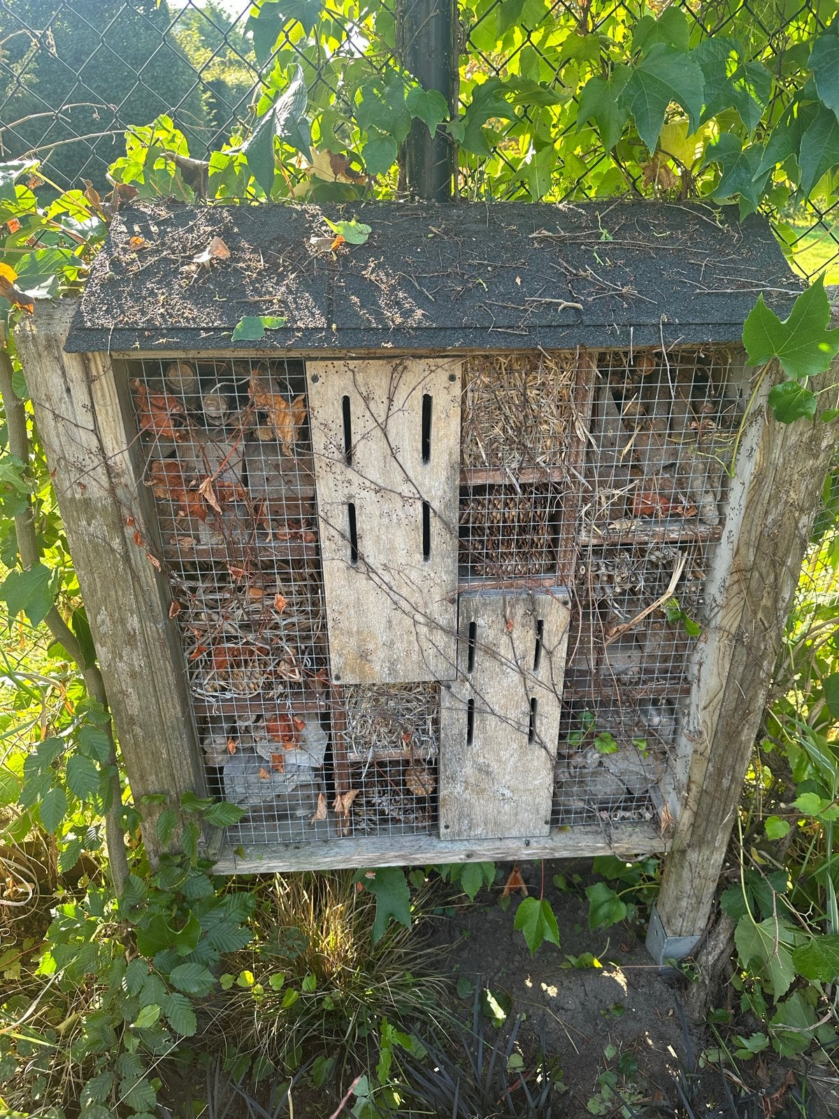 Groot insectenhotel voor bijen en andere insecten, Ophalen, Gebruikt