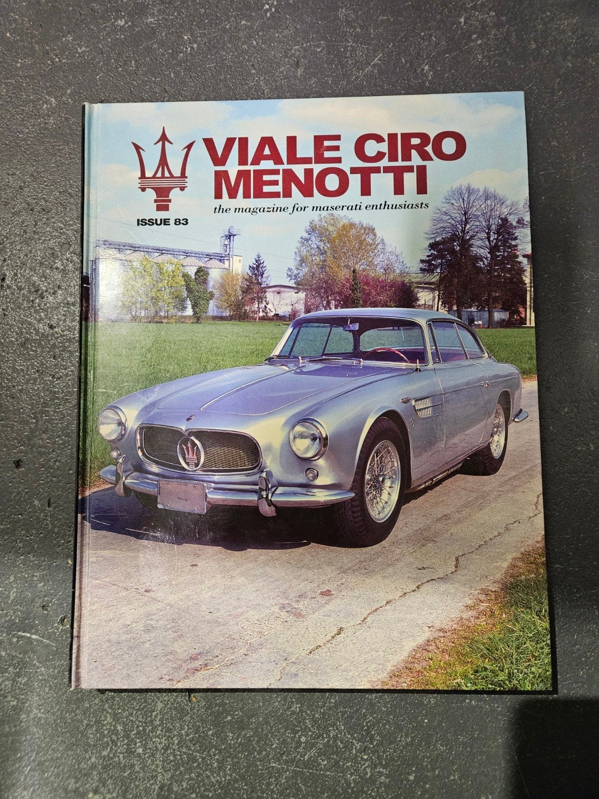 Viale Ciro Menotti 83 maserati, Boeken, Ophalen of Verzenden, Zo goed als nieuw, Onbekend
