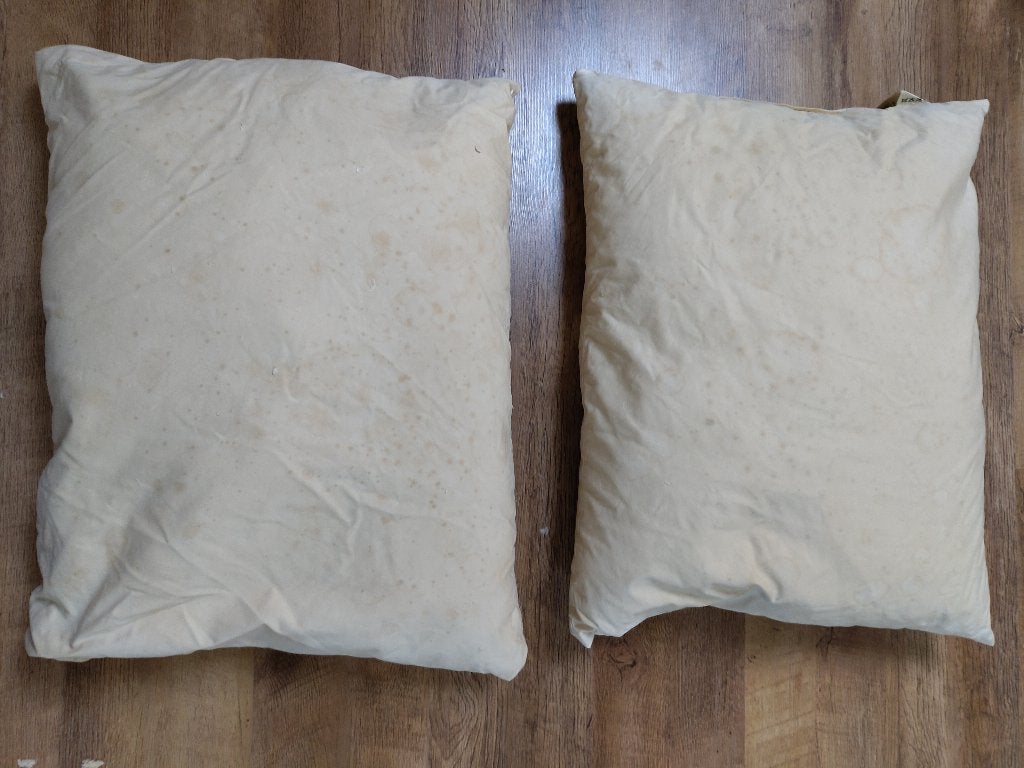twee hoofdkussen met veren, Ophalen, Gebruikt, Eenpersoons, Wit