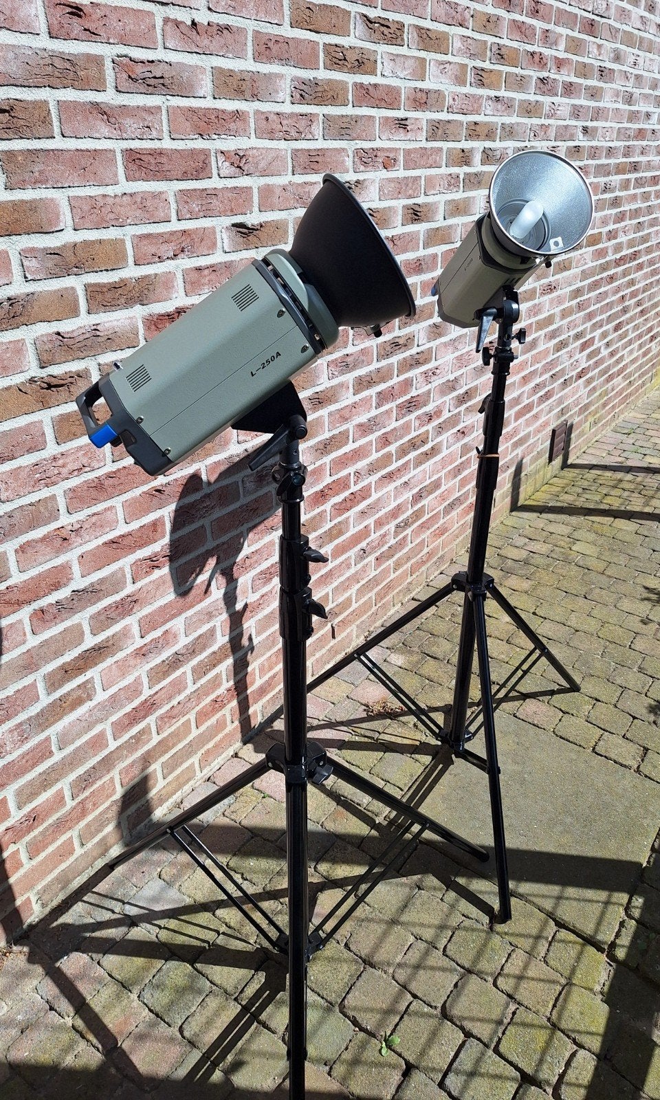 2 x Fomax L-250A studioflitsers met statief, Audio, Tv en Foto, Fotografie | Fotostudio en Toebehoren, Ophalen, Zo goed als nieuw