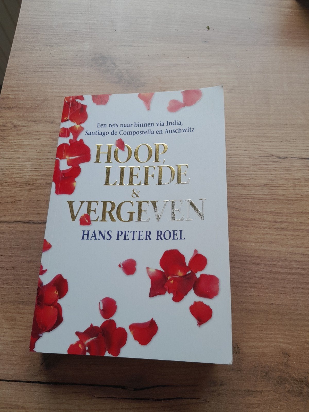Peter Paul Roel, Boeken, Ophalen of Verzenden, Gelezen, Spiritualiteit algemeen