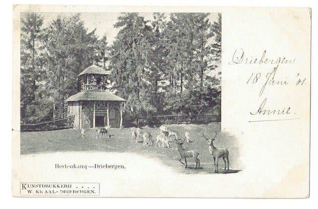 Driebergen - Hertenkamp (1901) - Kraal kaart, Ophalen of Verzenden, Voor 1920, Gelopen, Utrecht