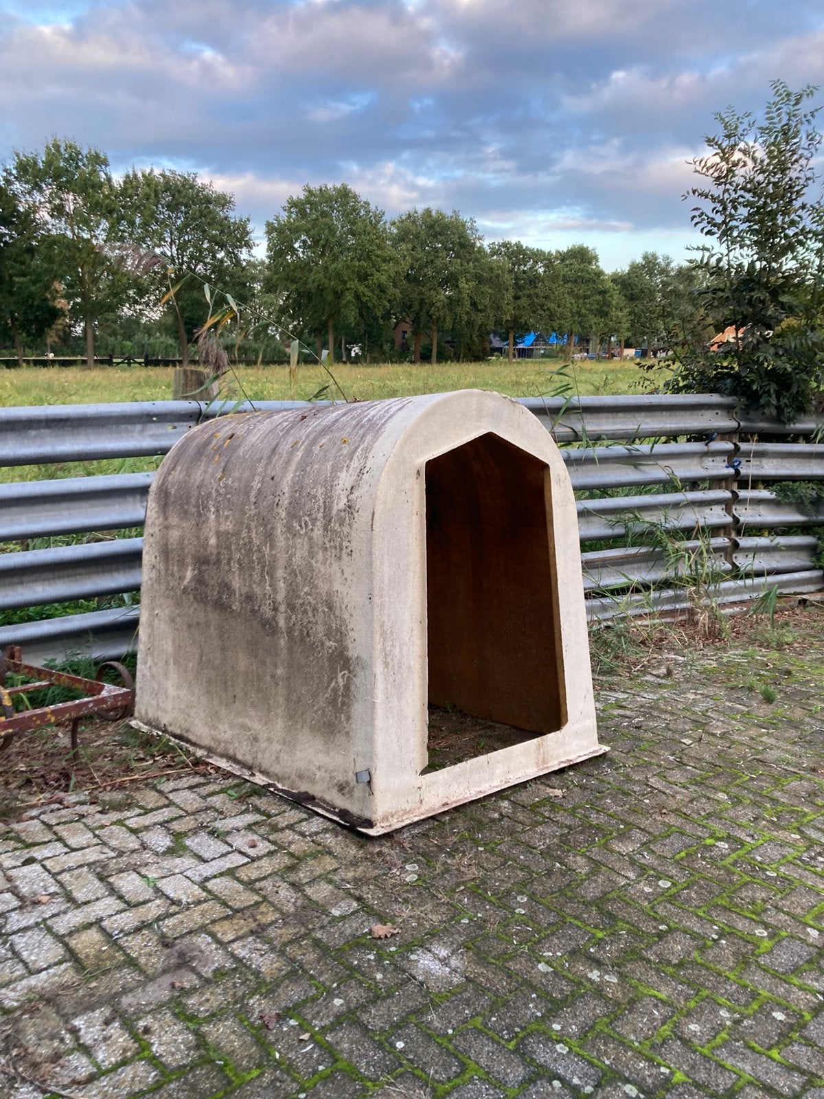 Kalver iglo