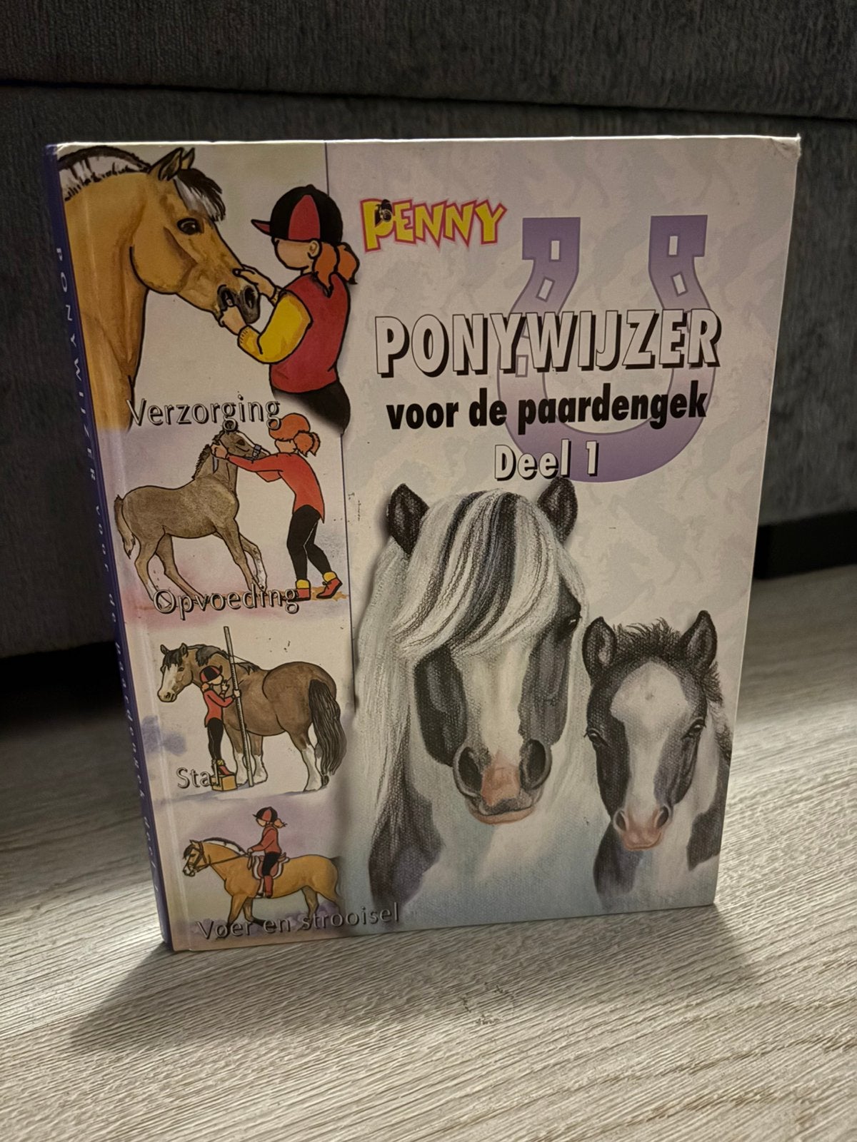 Pony boek, Verzenden, Zo goed als nieuw, Non-fictie