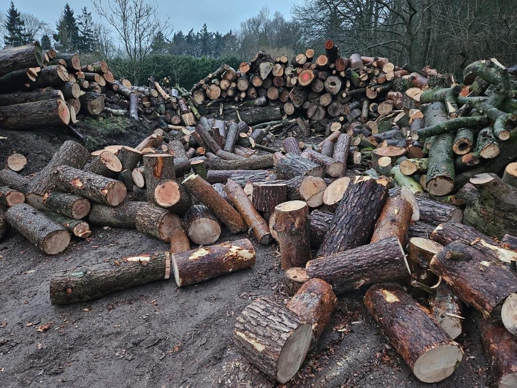 Naaldhout te koop - Regio Ermelo, 6 m³ of meer, Ophalen of Verzenden, Overige houtsoorten, Stammen