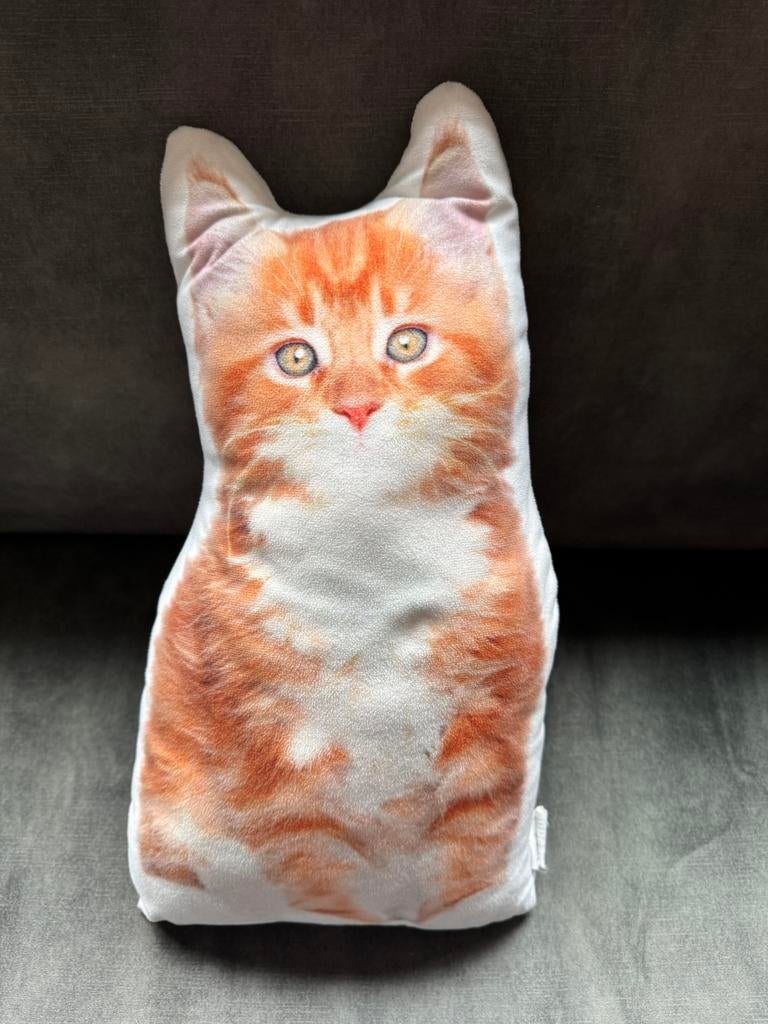 Kussen met rode kater., Ophalen of Verzenden, Gebruikt