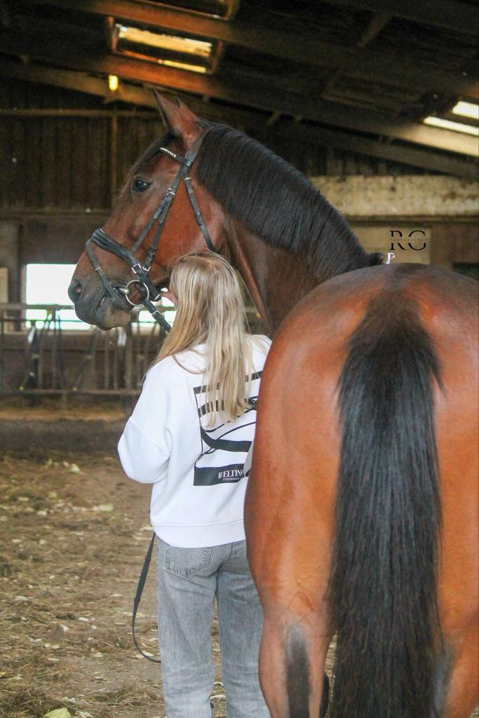 Stalhulp aangeboden, Vacatures