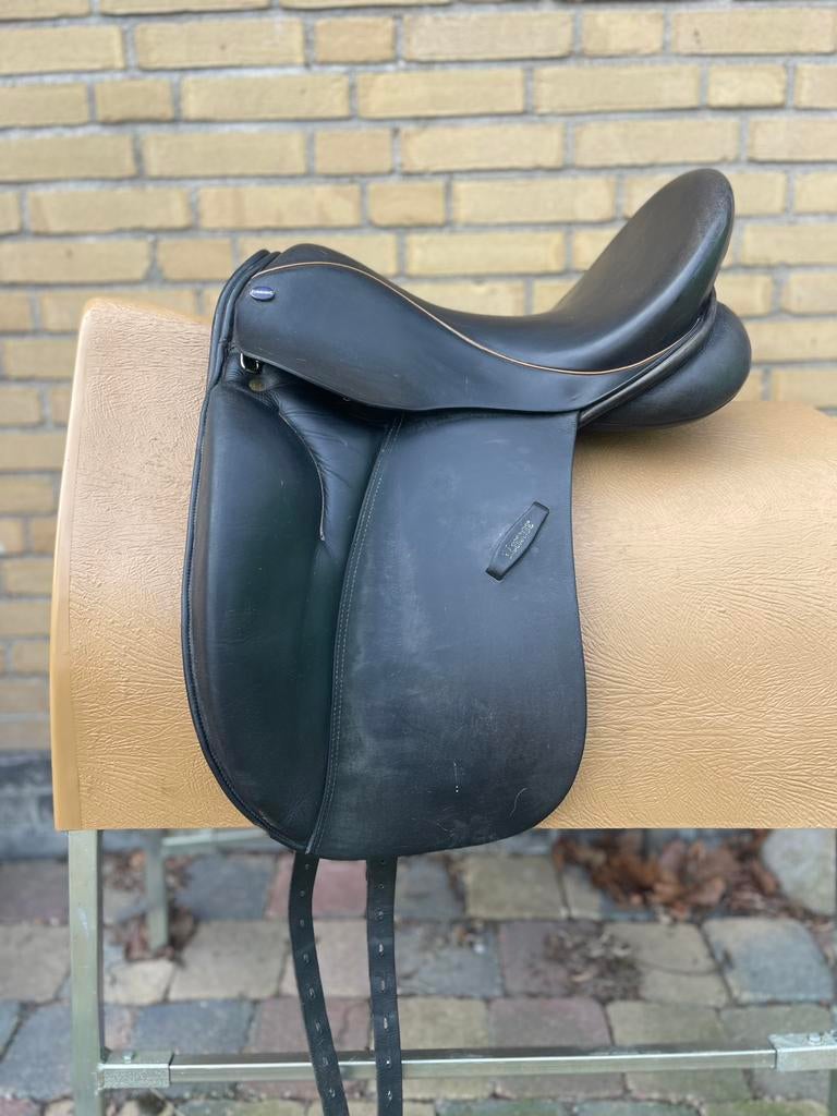 Euroriding Luxor 16,5" gratis consult bij aanschaf, Gebruikt, Kelly@schuuring.net, Zeeasterweg, Springen