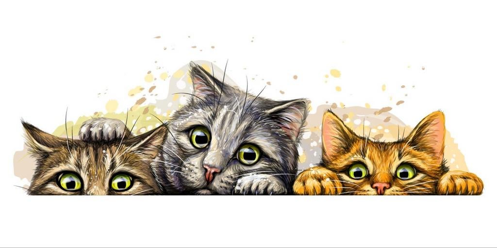 Wij zijn op zoek naar kittens vriendje, Poes