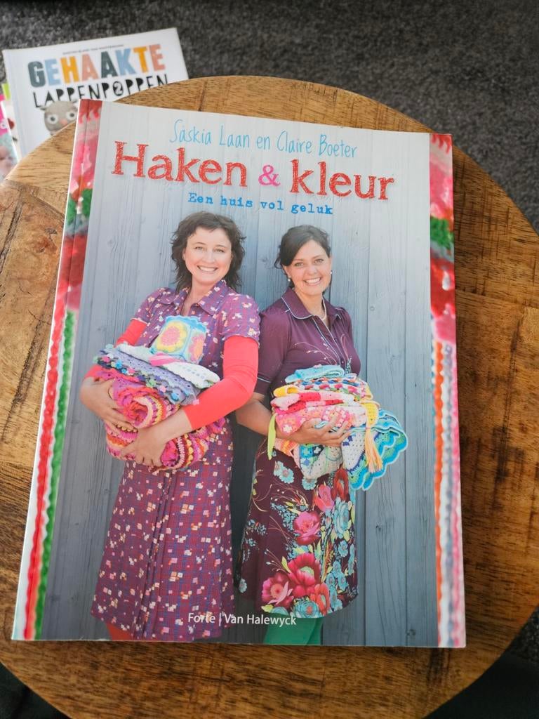 Saskia Laan - Haken en kleur, Breien en Haken, Saskia Laan; Claire Boeter, Ophalen of Verzenden, Zo goed als nieuw