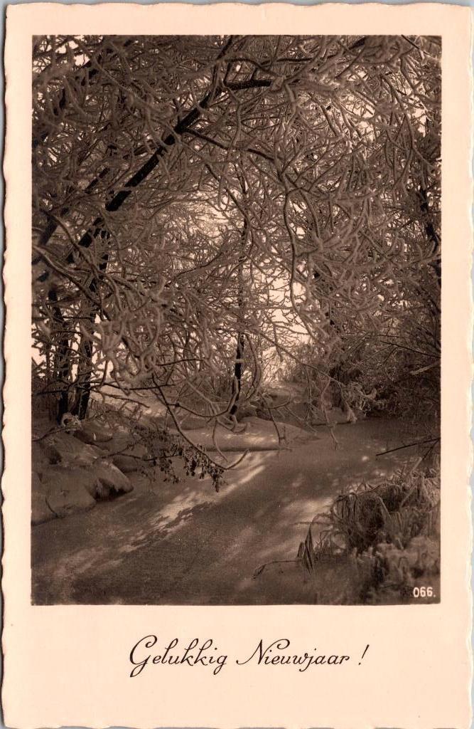 Gelukkig Nieuwjaar - Antieke kerstkaart sneeuw VI, Ophalen of Verzenden, Voor 1920, Ongelopen, Feest(dag)