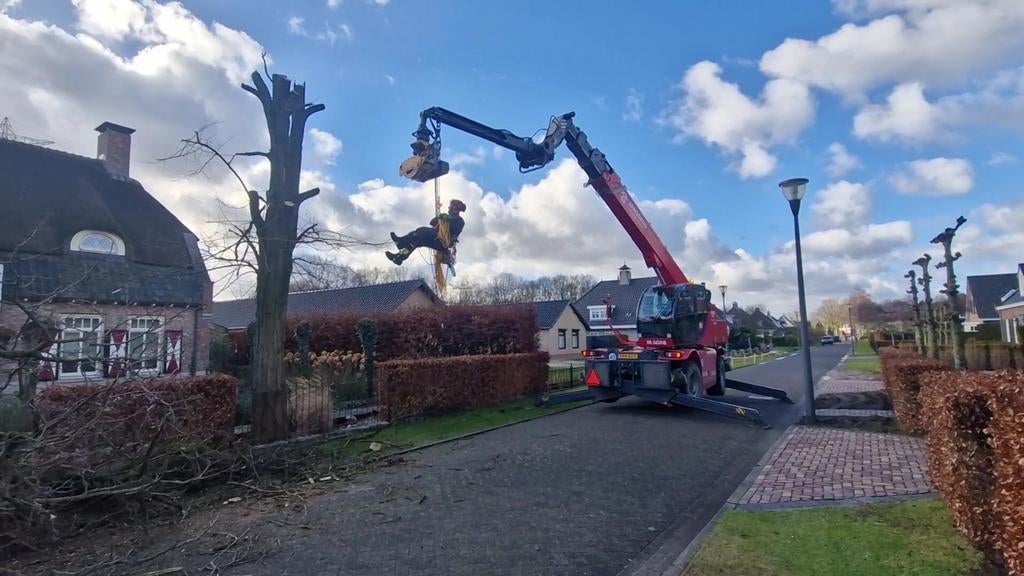 Boomverzorging, Stormschade, bomen kappen., Diensten en Vakmensen, Tuinmannen en Stratenmakers, Tuinonderhoud of Snoeiwerk