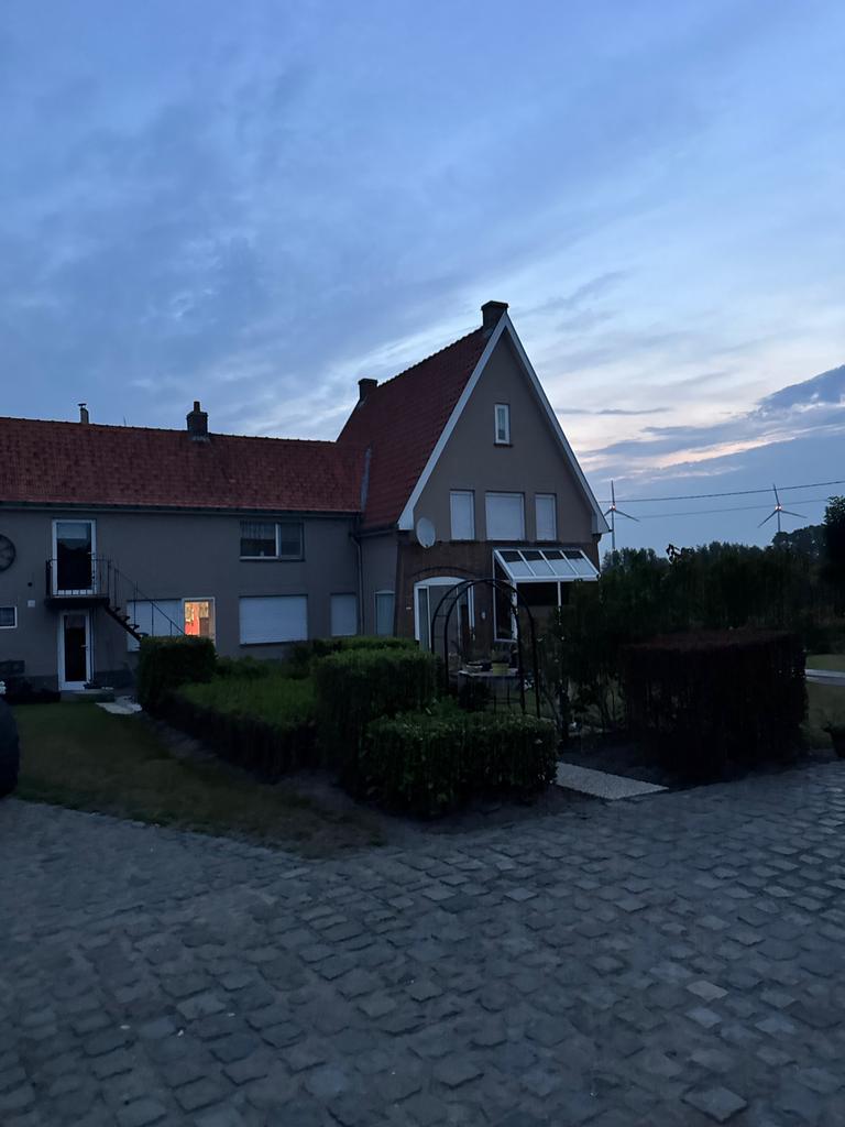 Dak gevel en opritten reinigen, Ophalen of Verzenden, Onkruidbestrijding
